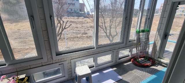 20250403_125239.jpg