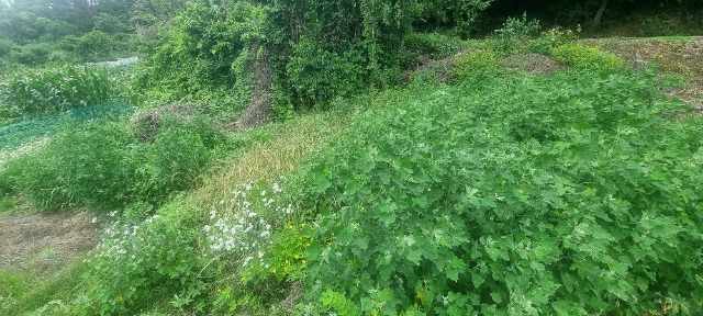 20250630_140207.jpg