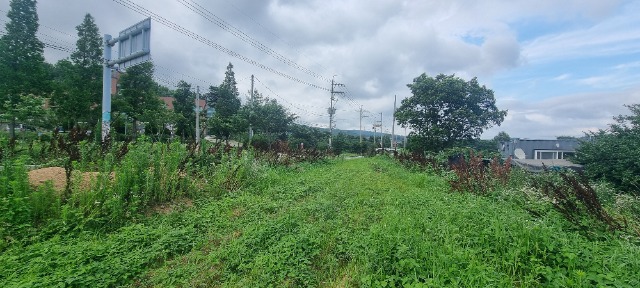 20250703_163457.jpg