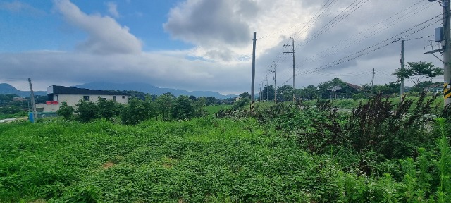 20250703_163515.jpg