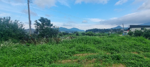 20250703_163526.jpg