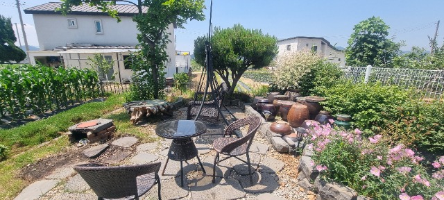 20250614_113944.jpg