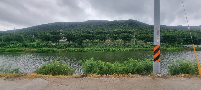 20250715_140218.jpg