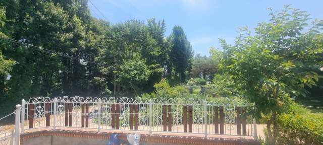 KakaoTalk_20260618_184926911_11.jpg