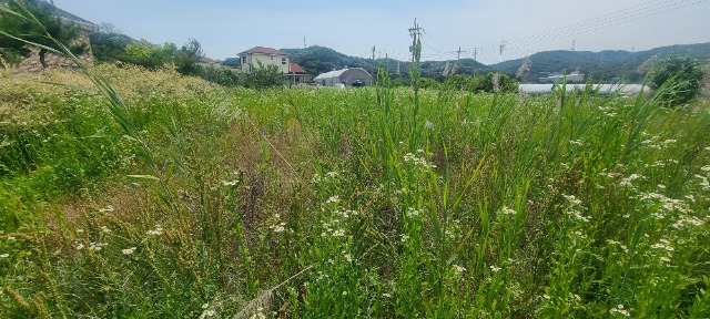 20260611_140857.jpg