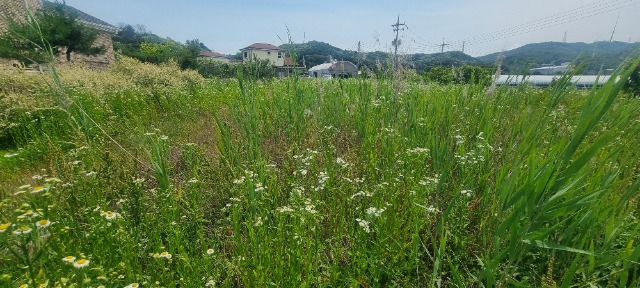 20260611_140902.jpg