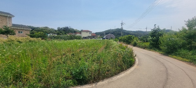 20260611_140922.jpg