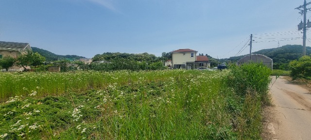 20260611_140954.jpg