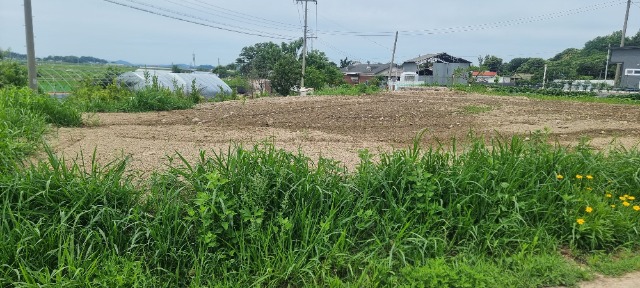 20260624_143254.jpg