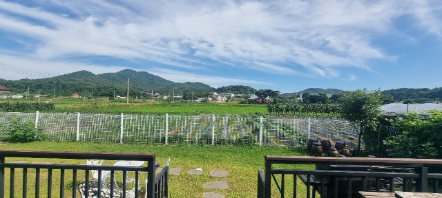 20260711_155543.jpg