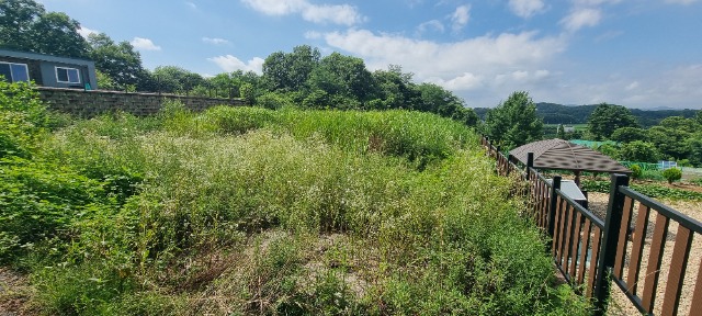 20260715_151632.jpg